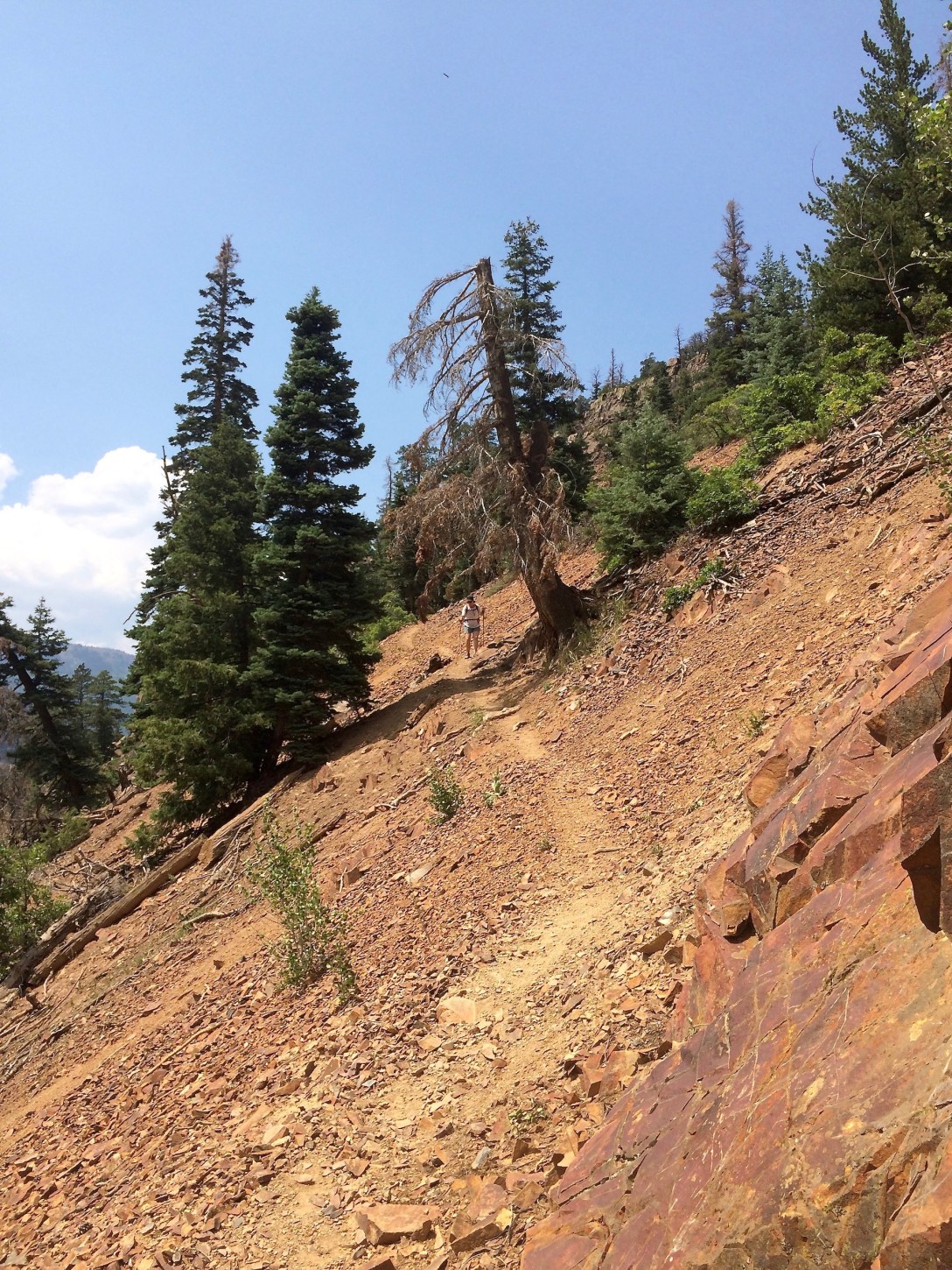 Old Horsetheif Trail Ouray Colorado