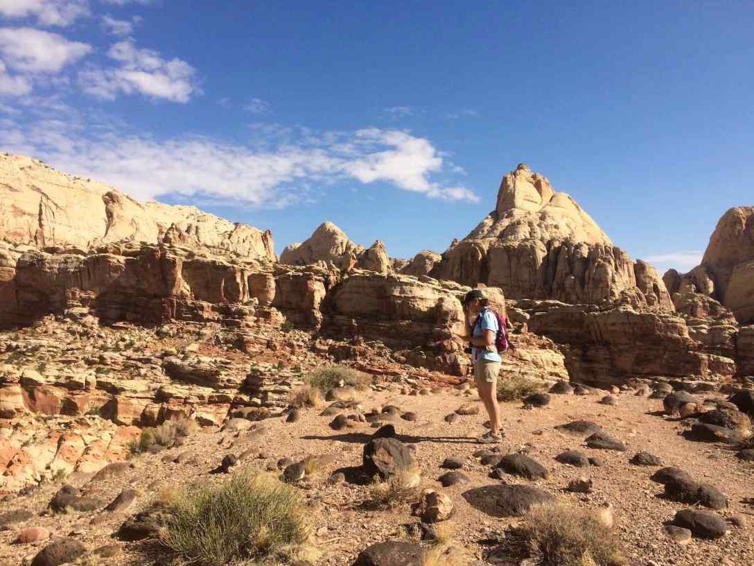 Cohab Canyon trail at Capitol Reef National Park