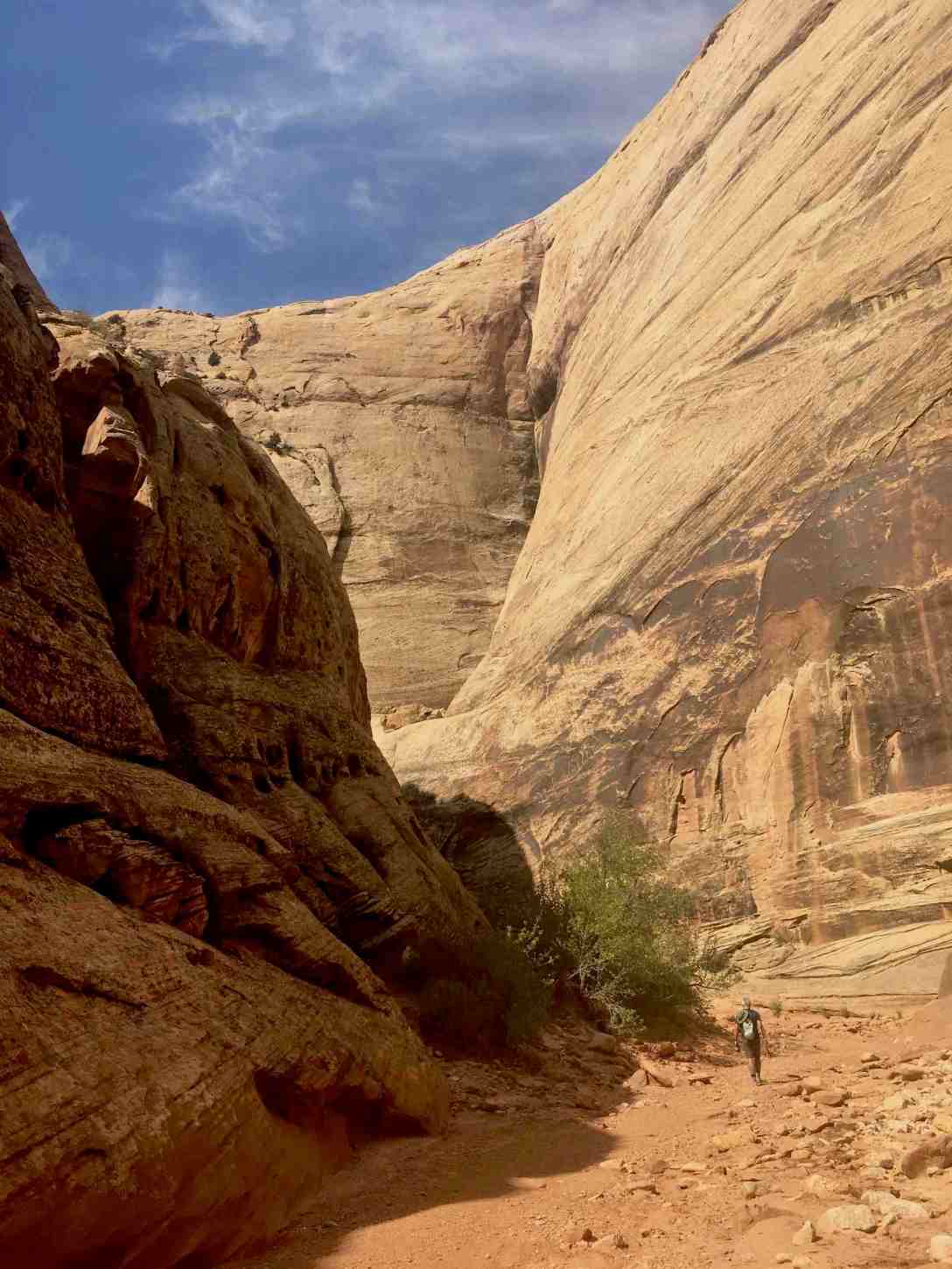 Grand Wash Trail at Capitol Reef National Park