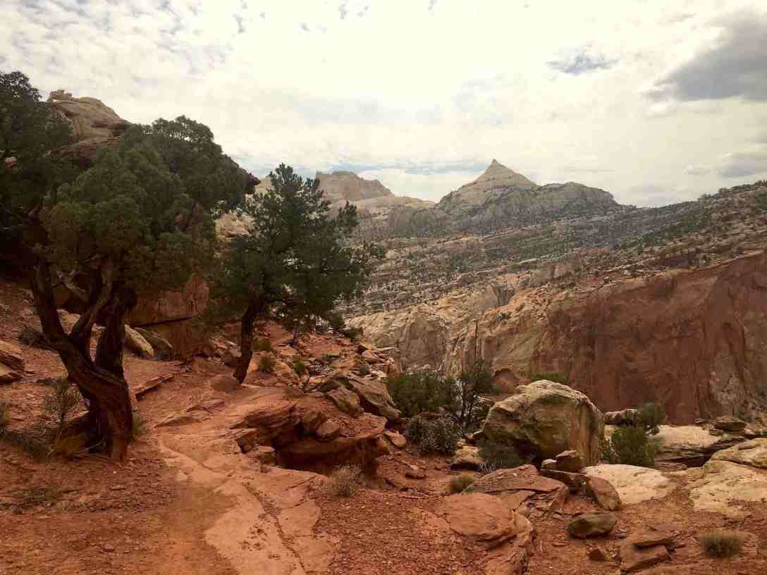 Cassidy Arch trail at Capitol Reef National Park