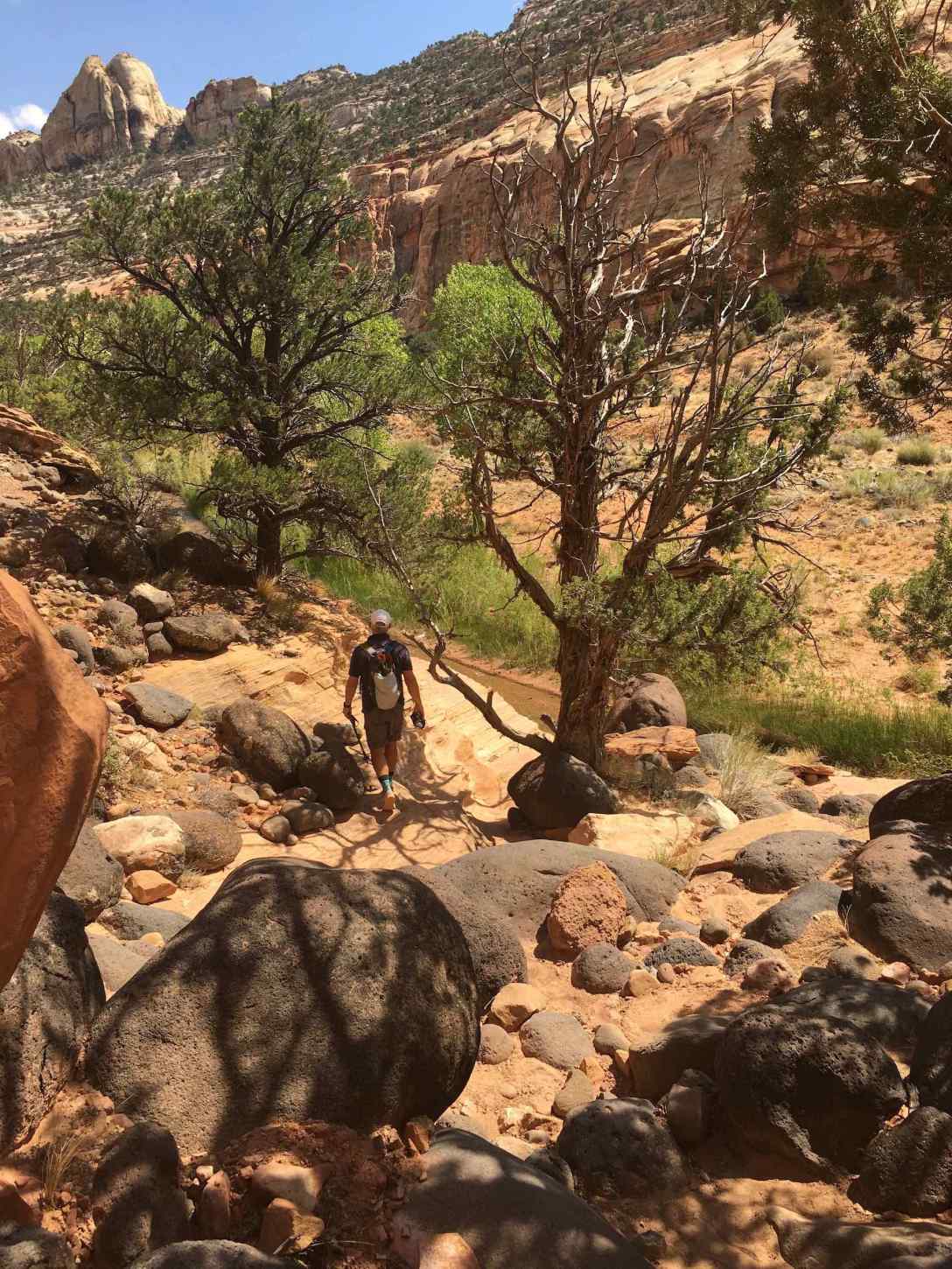 Boulder-strewn Pleasant Creek Trail in Capitol Reef National Park