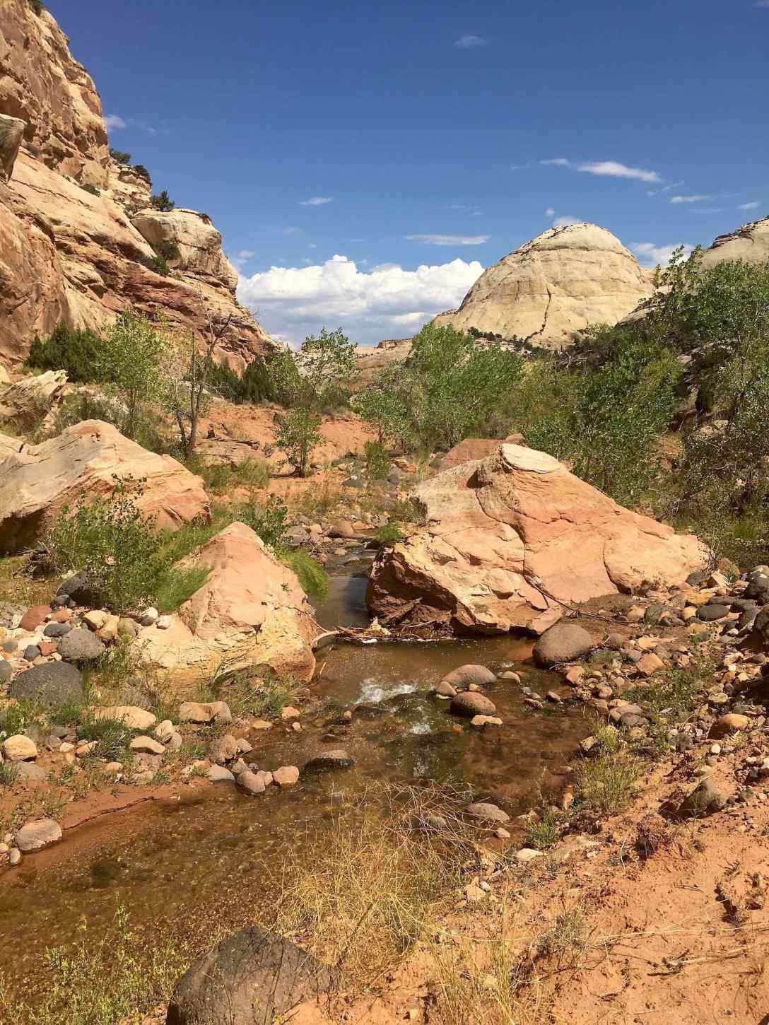 Along the Pleasant Creek Trail in Capitol Reef National Park