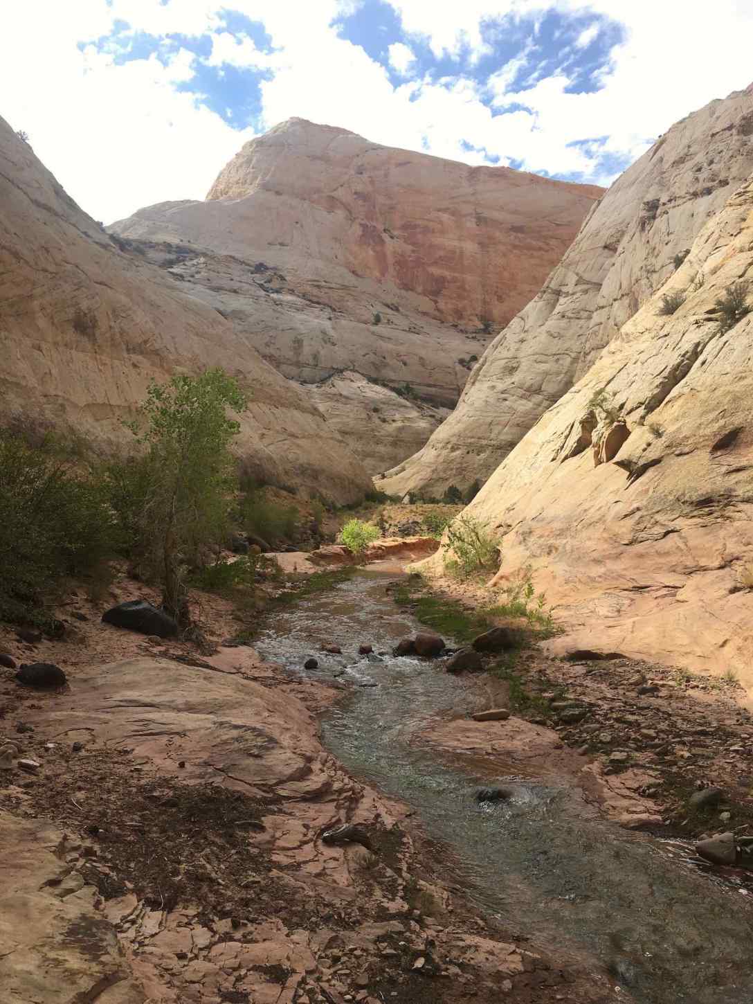 Pleasant Creek hike in Capitol Reef National Park