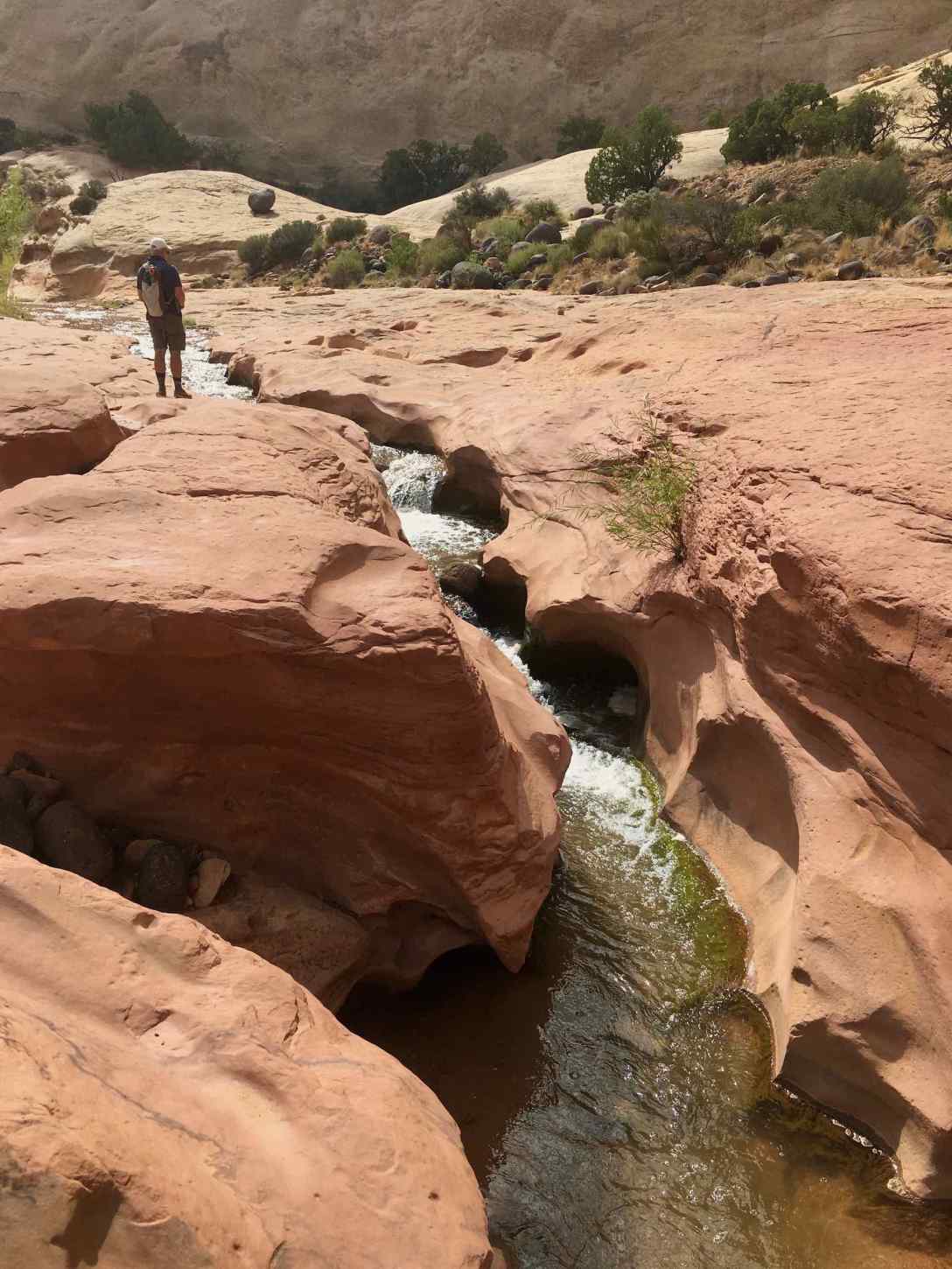 Pleasant Creek in Capitol Reef National Park