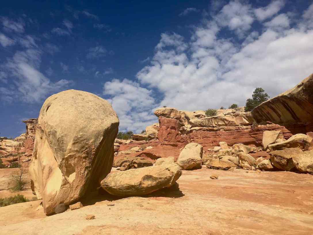 Capitol Reef National Park - hiking the Cohab Canyon