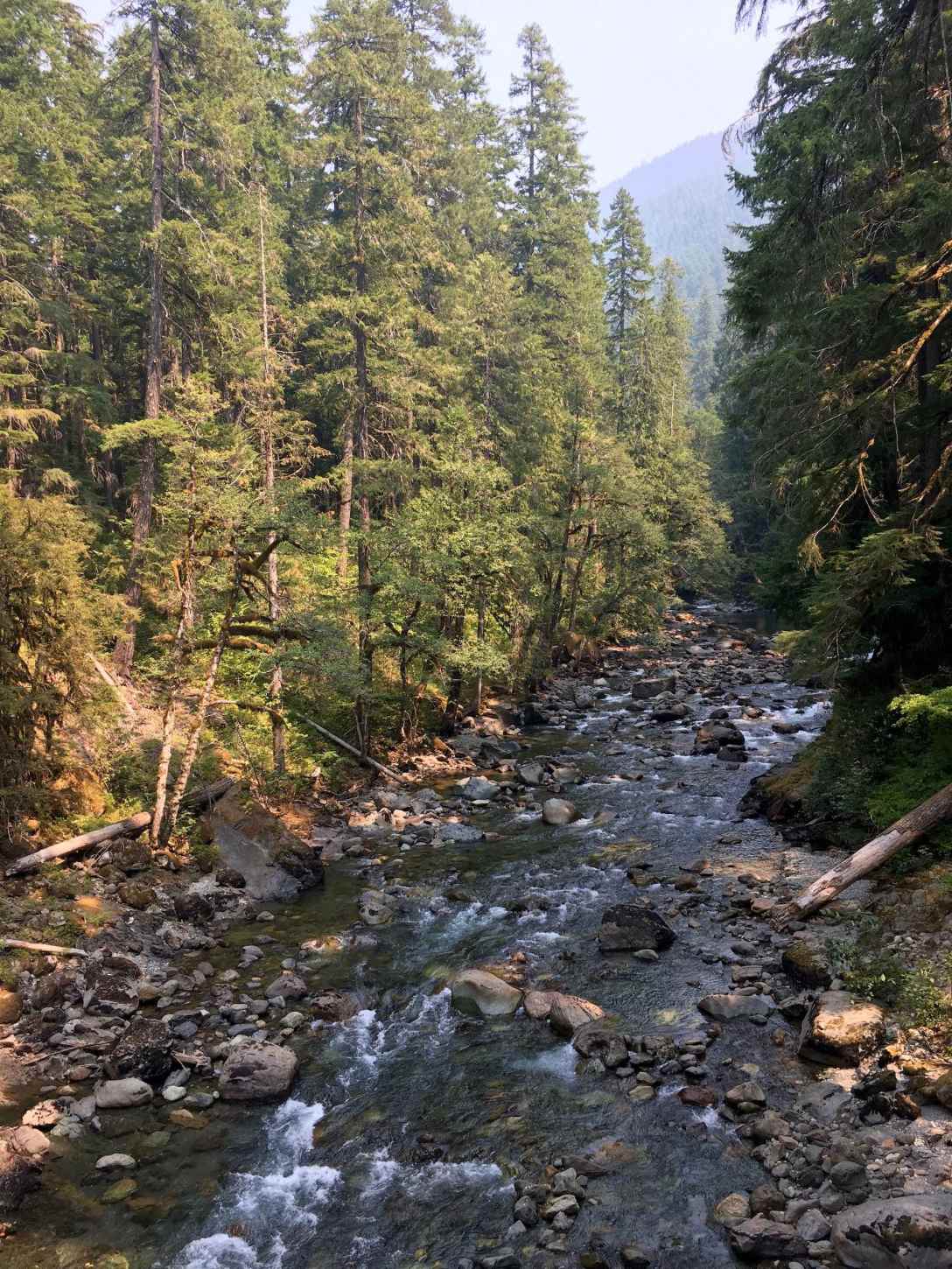 Ohanapecosh River in Mt Ranier National Park