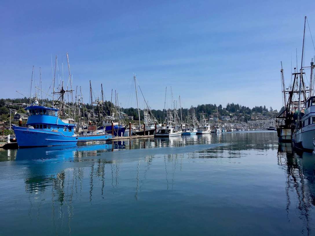 Colorful fishing boats in Newport Oregon's working harbor
