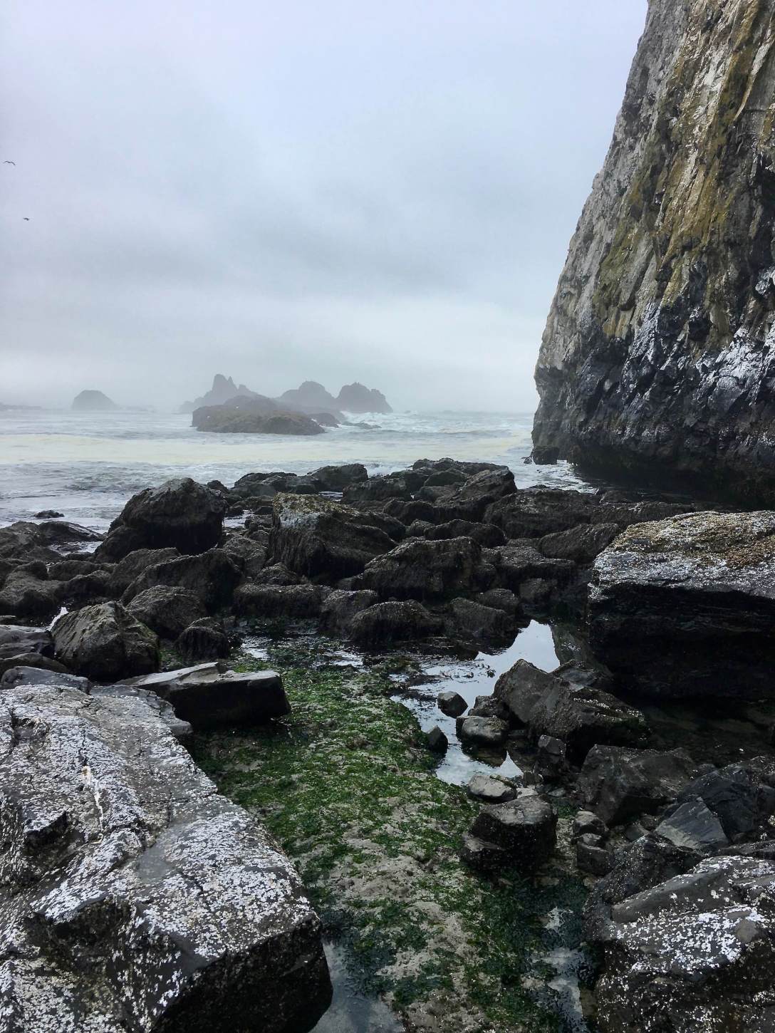Low tide at Seal Rock State Park Oregon Coast Highway