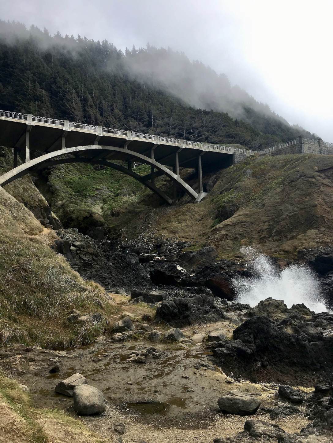 Bridge at Cook's Chasm Cape Perpetua Scenic Area Oregon Coast Highway 101