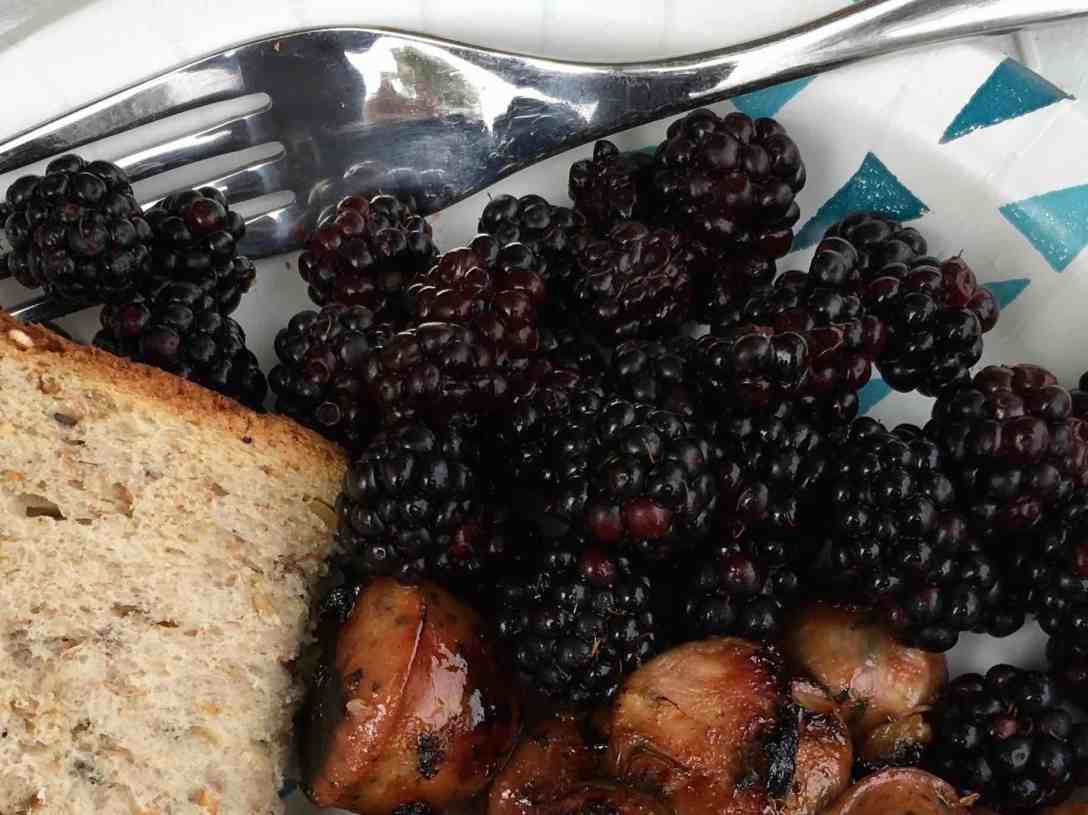 Non-native Blackberries picked at Cape Perpetua Scenic Area