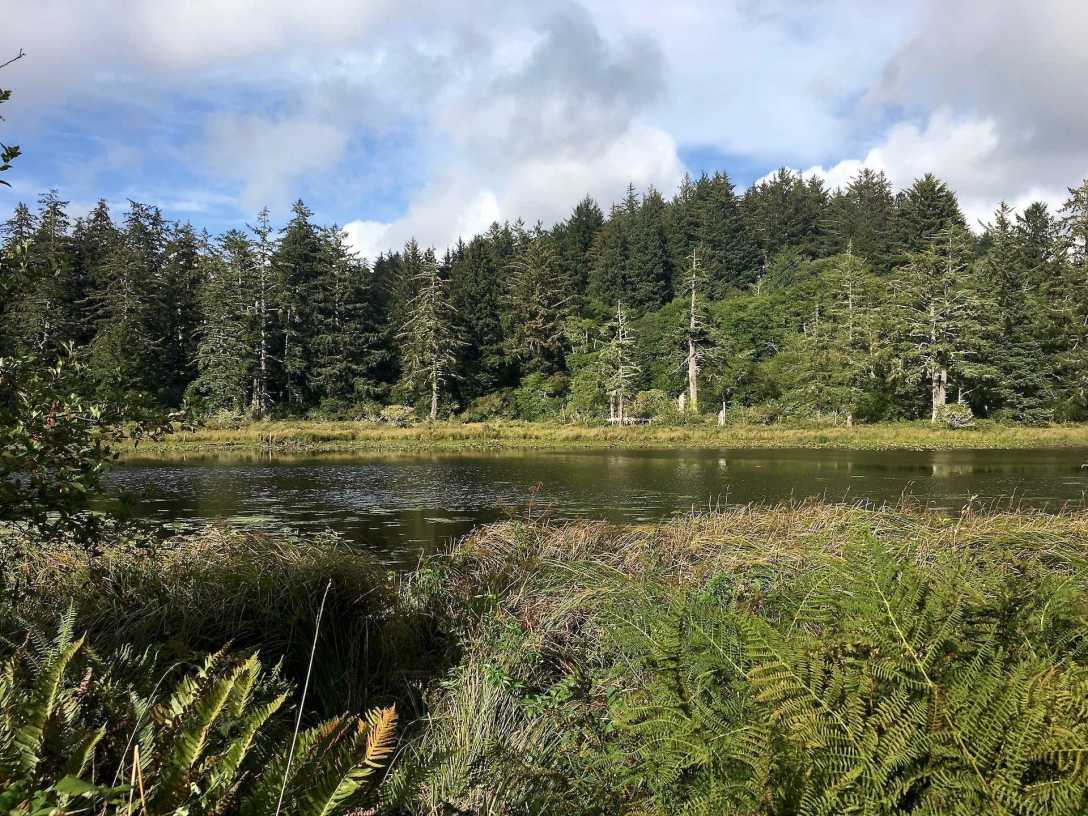 Long Lake Cape Disappointment State Park Washington