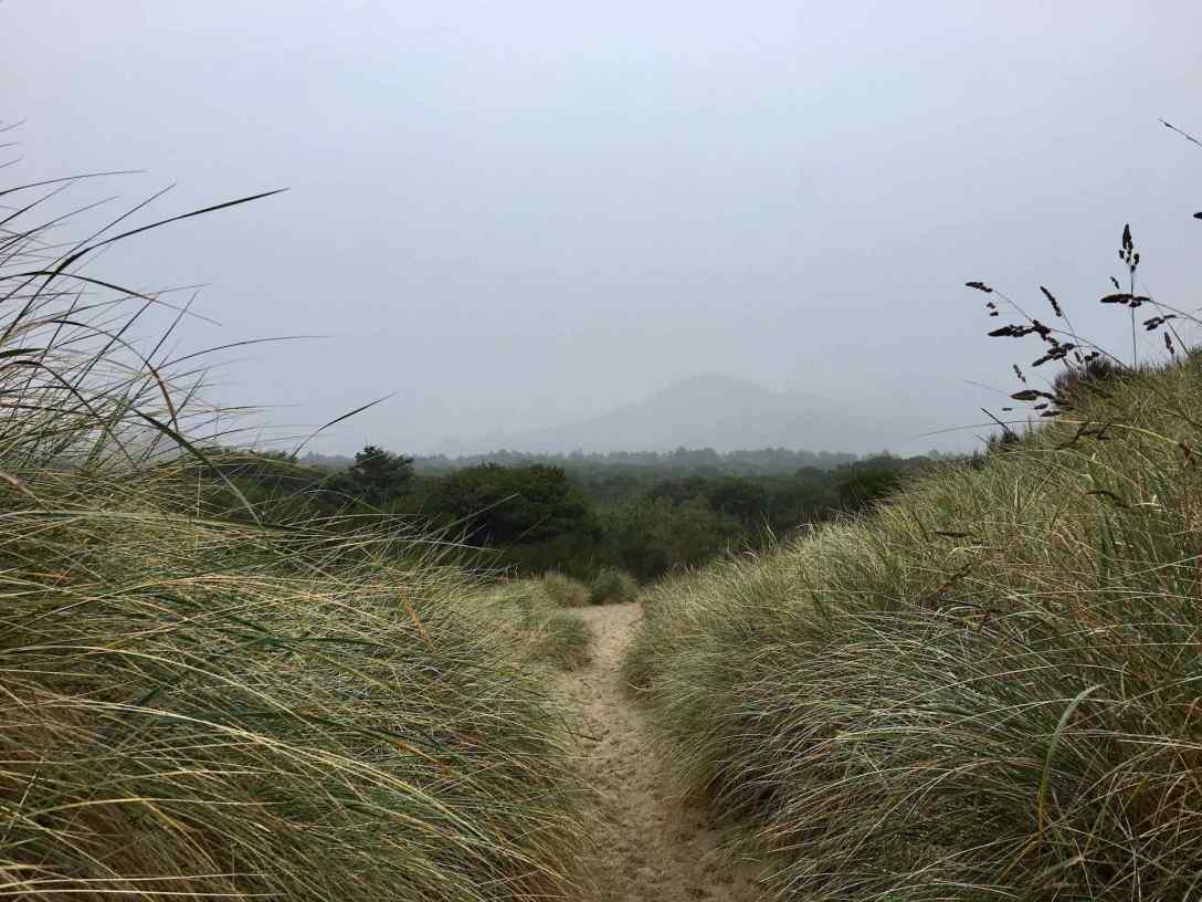 Path between campground and beach at Nehalem Bay State Park