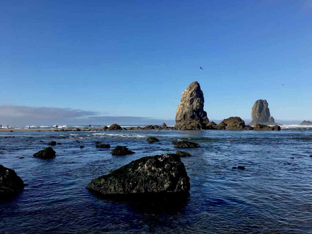 Sea Stacks at Cannon Beach Oregon