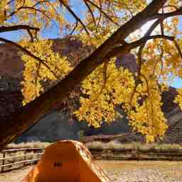 Gear Review: REI Co-op Grand Hut 4 Tent