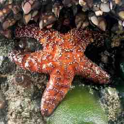 Olympic National Park – Part 2:  Pacific Coast Beaches