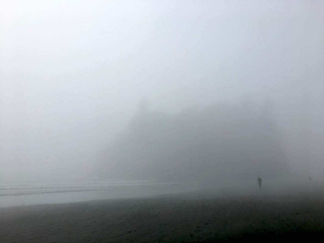 Ruby Beach Abbey Island in the fog Olympic National Park