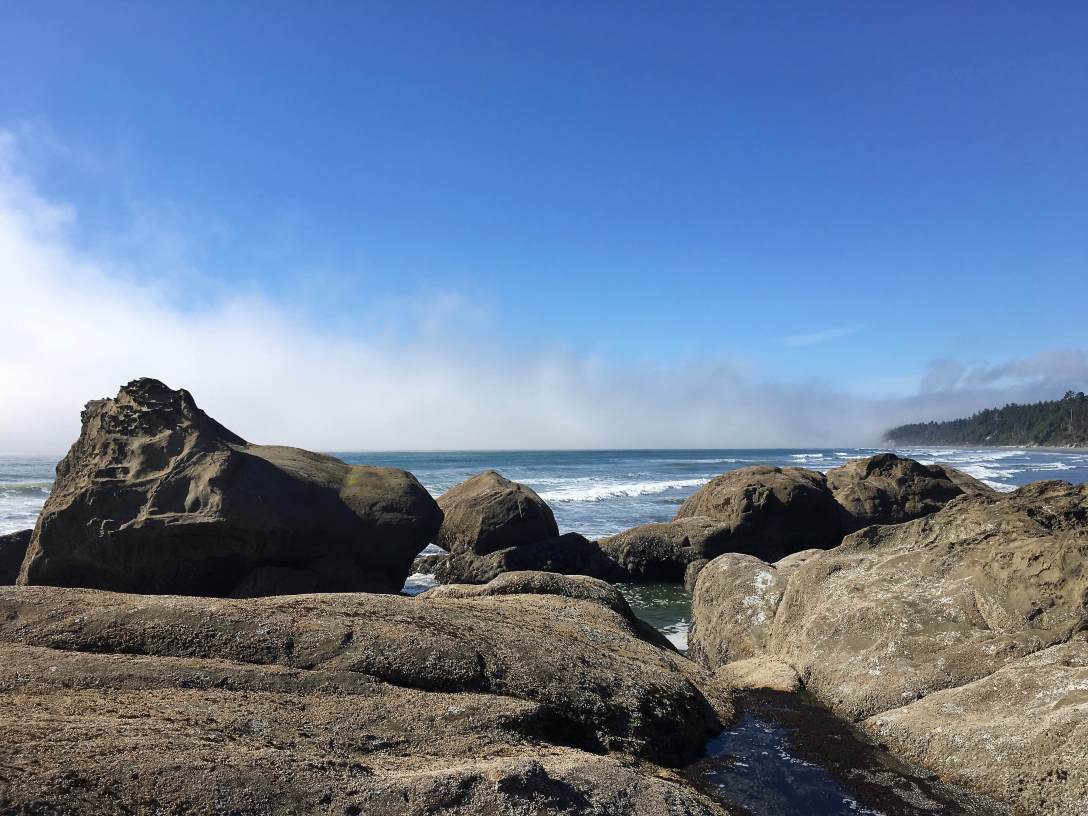 Beach 4, Olympic National Park