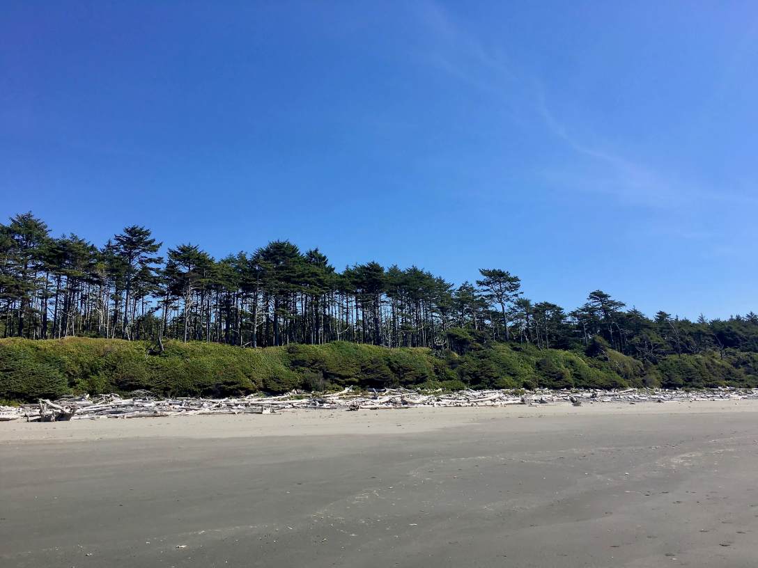 Kalaloch Beach to Beach 1 Olympic National Park