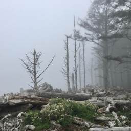 Olympic National Park – Part 3: Rialto Beach, Lake Crescent, Sol Duc Valley