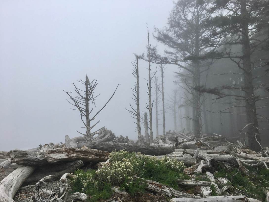 Approaching Rialto Beach Olympic National Park Washington