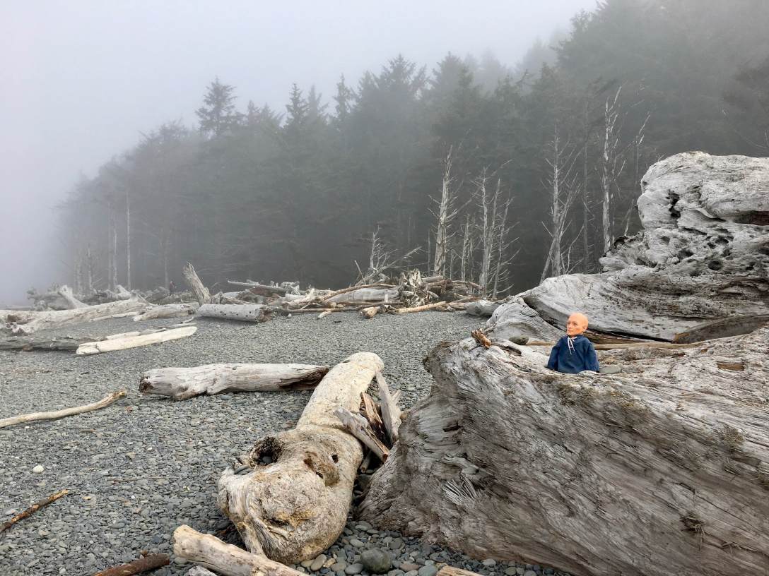 Hugo Man of a Thousand Faces at Rialto Beach Olympic National Park