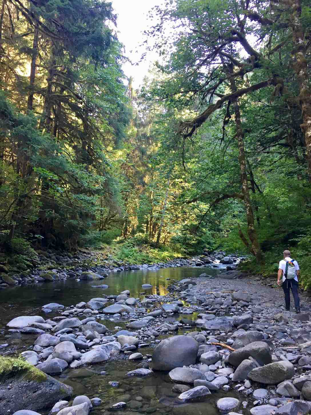 North fork of the Sol Duc River