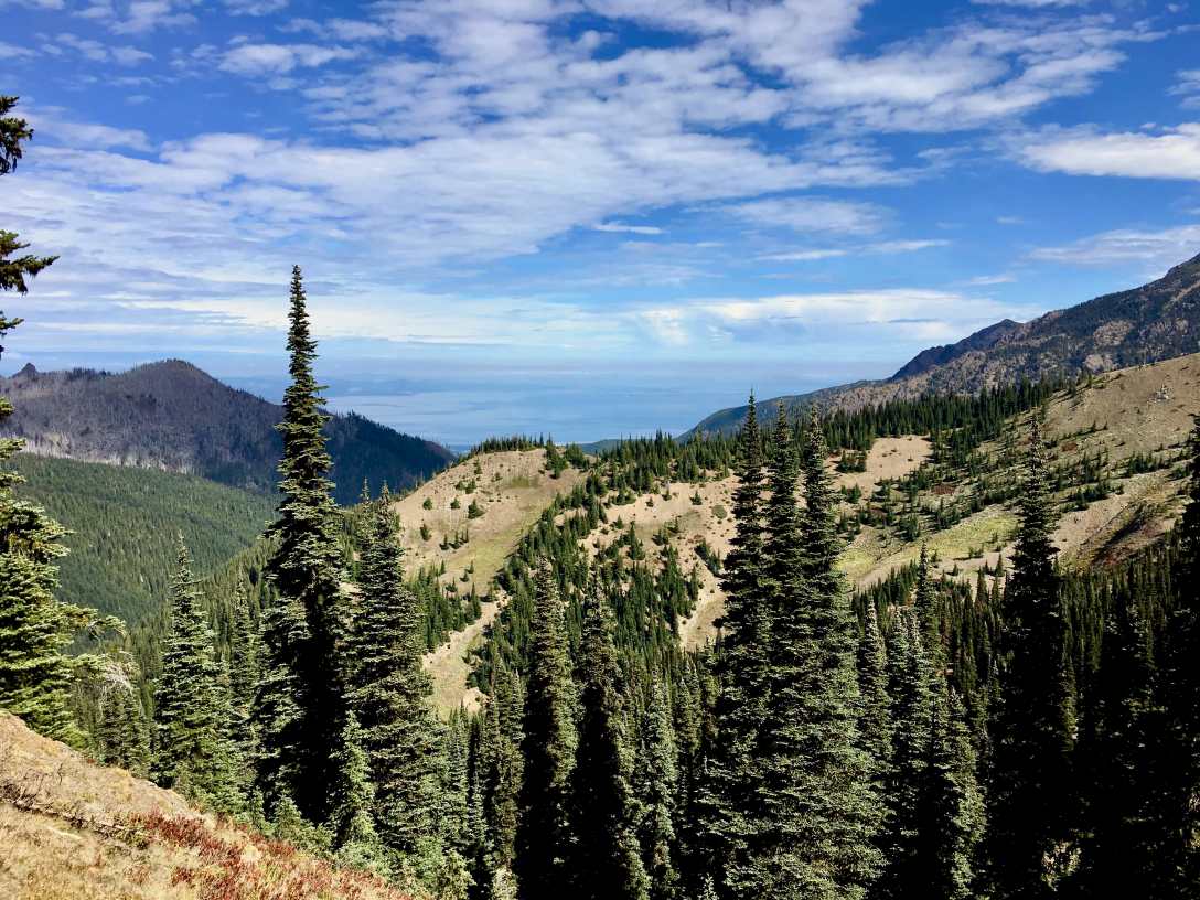 View of the Strait of Juan de Fuca from Hurricane Ridge Olympic National Park