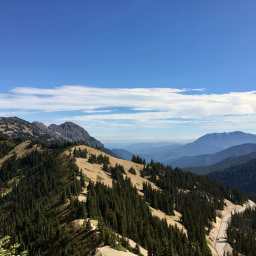 Olympic National Park – Part 4: Hurricane Ridge & Port Angeles