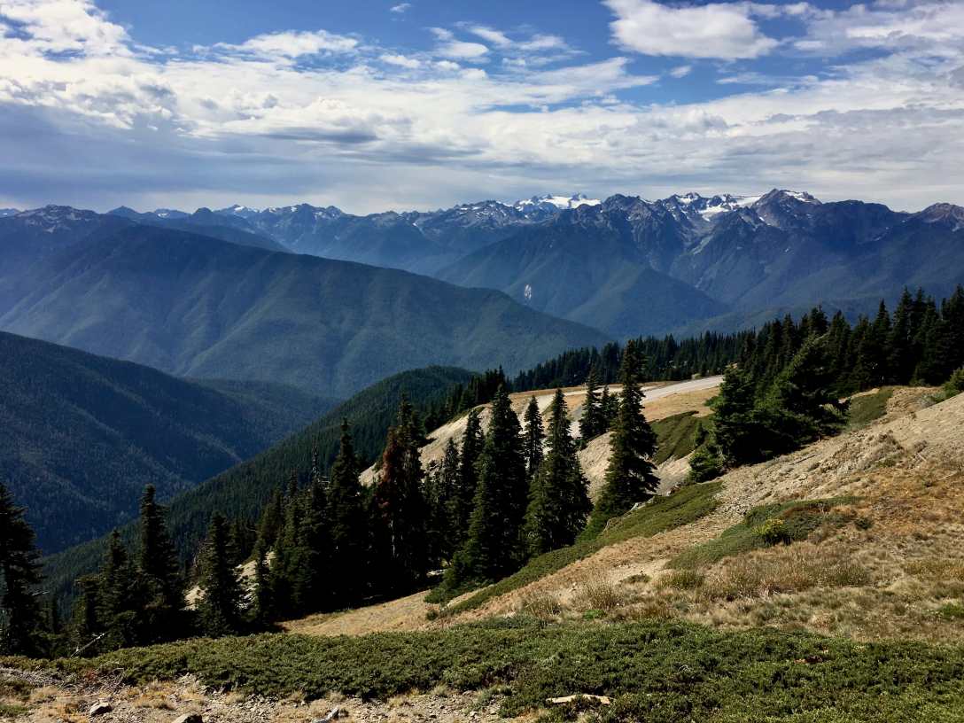 View of Mount Olympus from Hurricane Ridge Olympic National Park