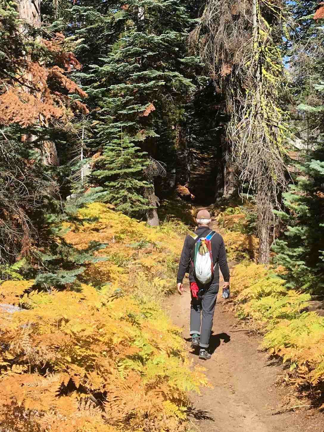 gear review autumn hiking in Yosemite National Park with Cotopaxi Luzon 18L daypack