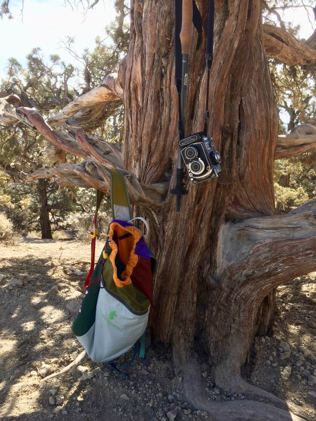 Gear Review: Cotopaxi Luzon 18L Del Dia backpack daypack day pack