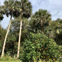 Southward We Wander: Tiny North Florida Towns (Part 2)