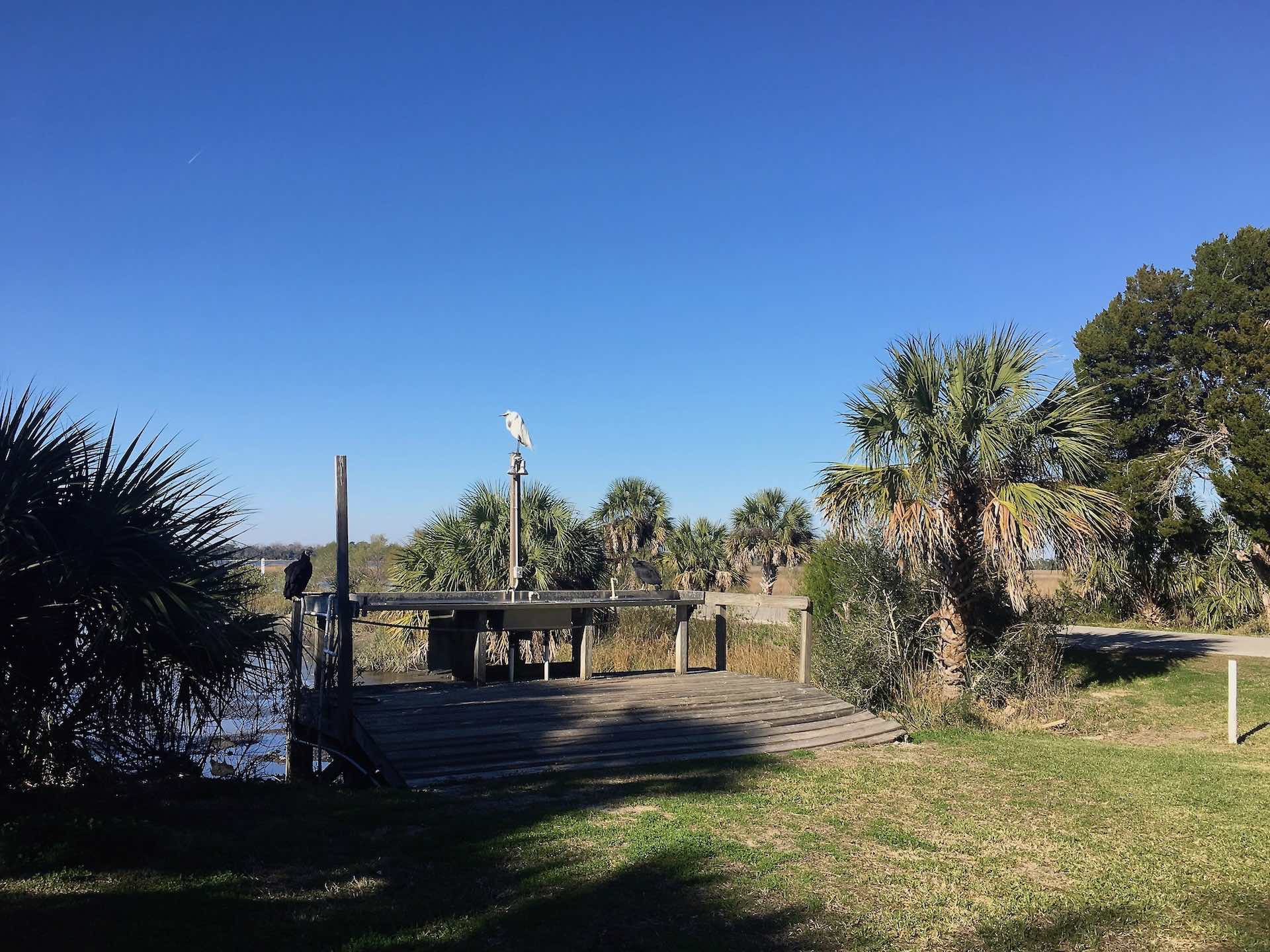 Campground Review: Shell Mound in Cedar Key, Florida – Westward We Wander