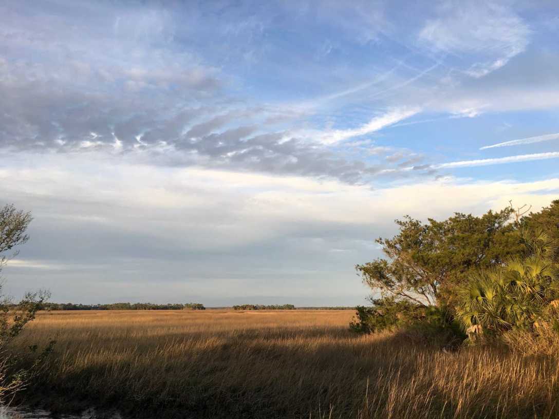 Salt Marsh at Shell Mound, Lower Suwannee NWR