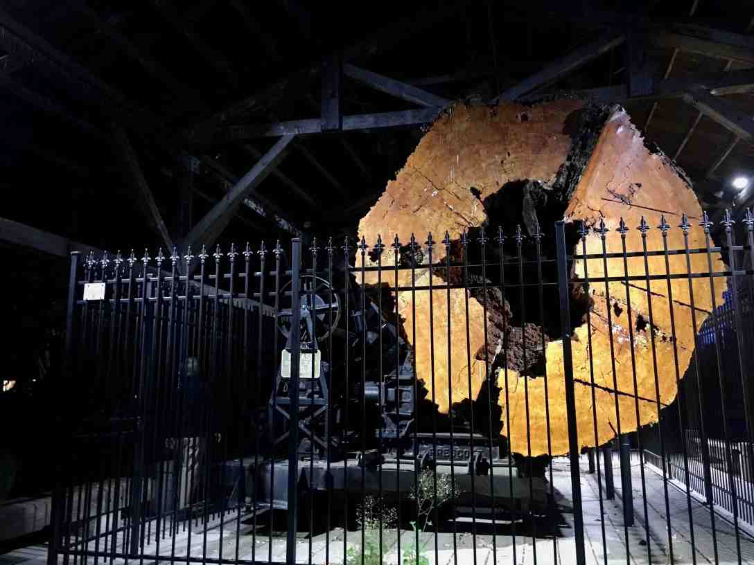 Twin Peaks filming location - The Big Log Douglas fir in Snoqualmie, Washington