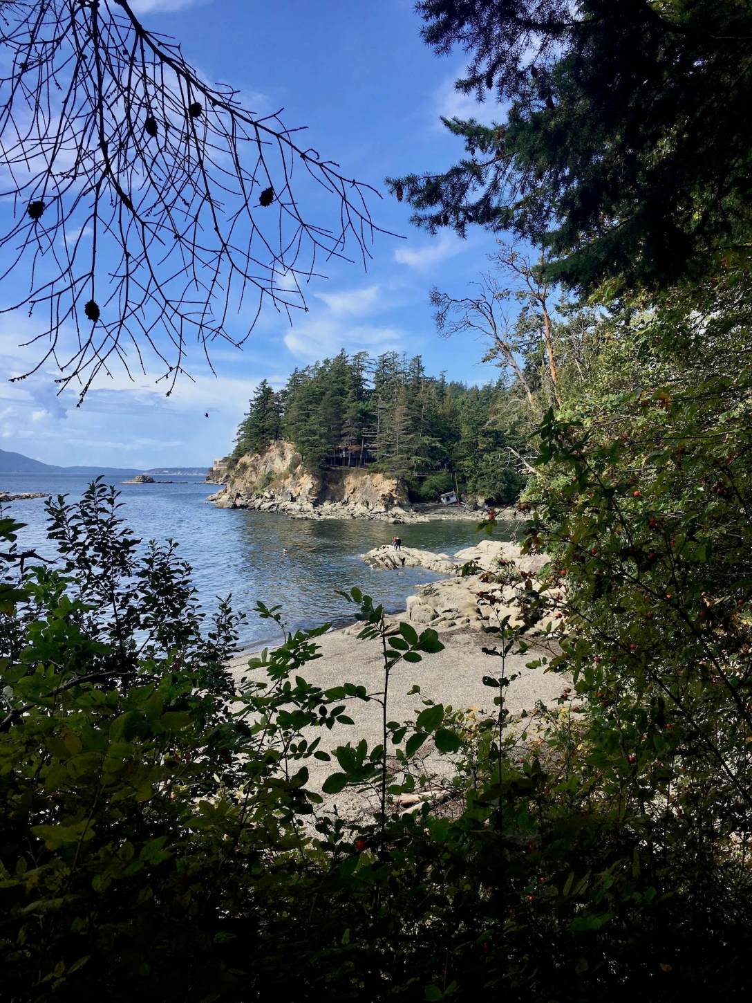 Overlooking the pebble beach at Larrabee State Park in Bellingham, Washington