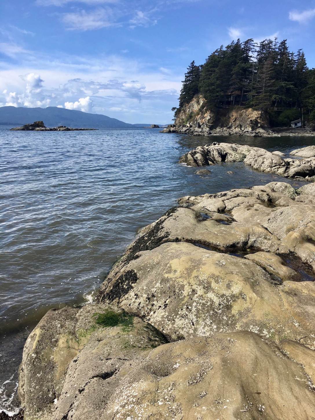 Shoreline at Larrabee State Park in Bellingham, Washington