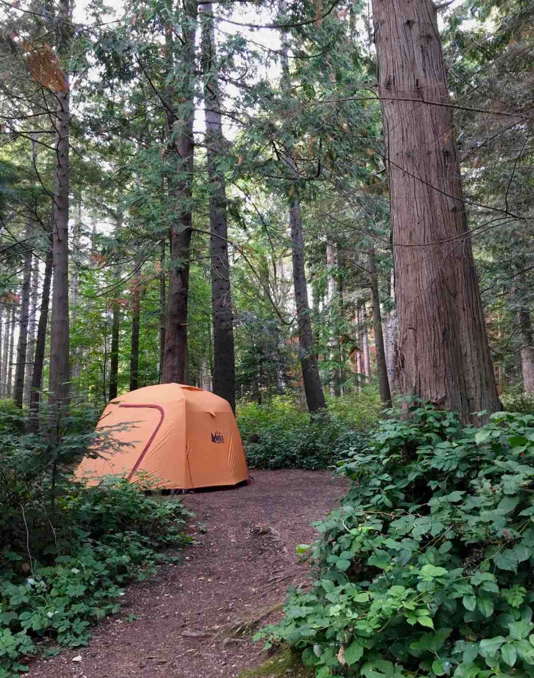 Camping in the REI Co-op Grand Hut 4 at Larrabee State Park in Bellingham, Washington