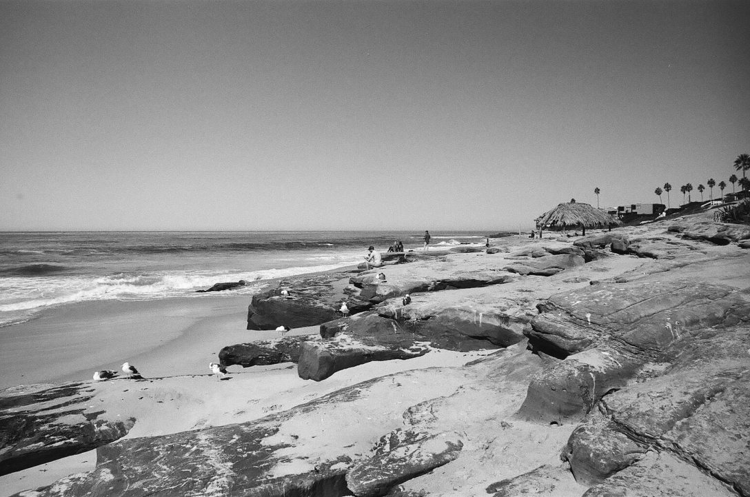 35mm film photography Kodak Tri-X black and white Windansea Beach La Jolla San Diego California Nikon F2