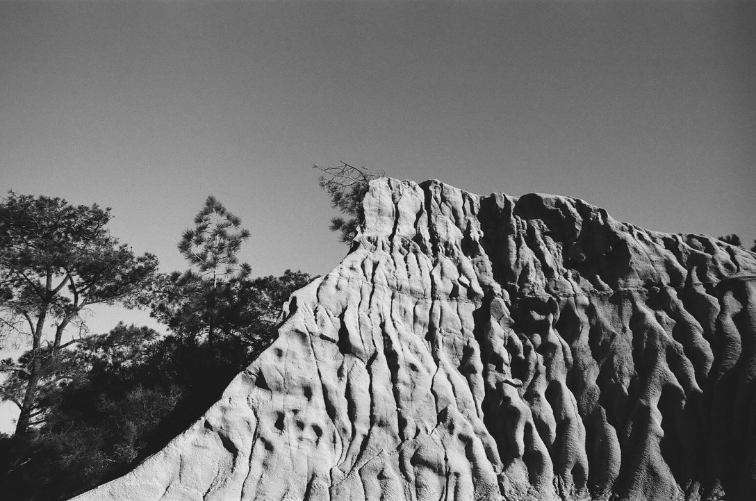 35mm film photography Kodak Tri-X black and white Torrey Pines State Natural Reserve Park San Diego California Nikon F2