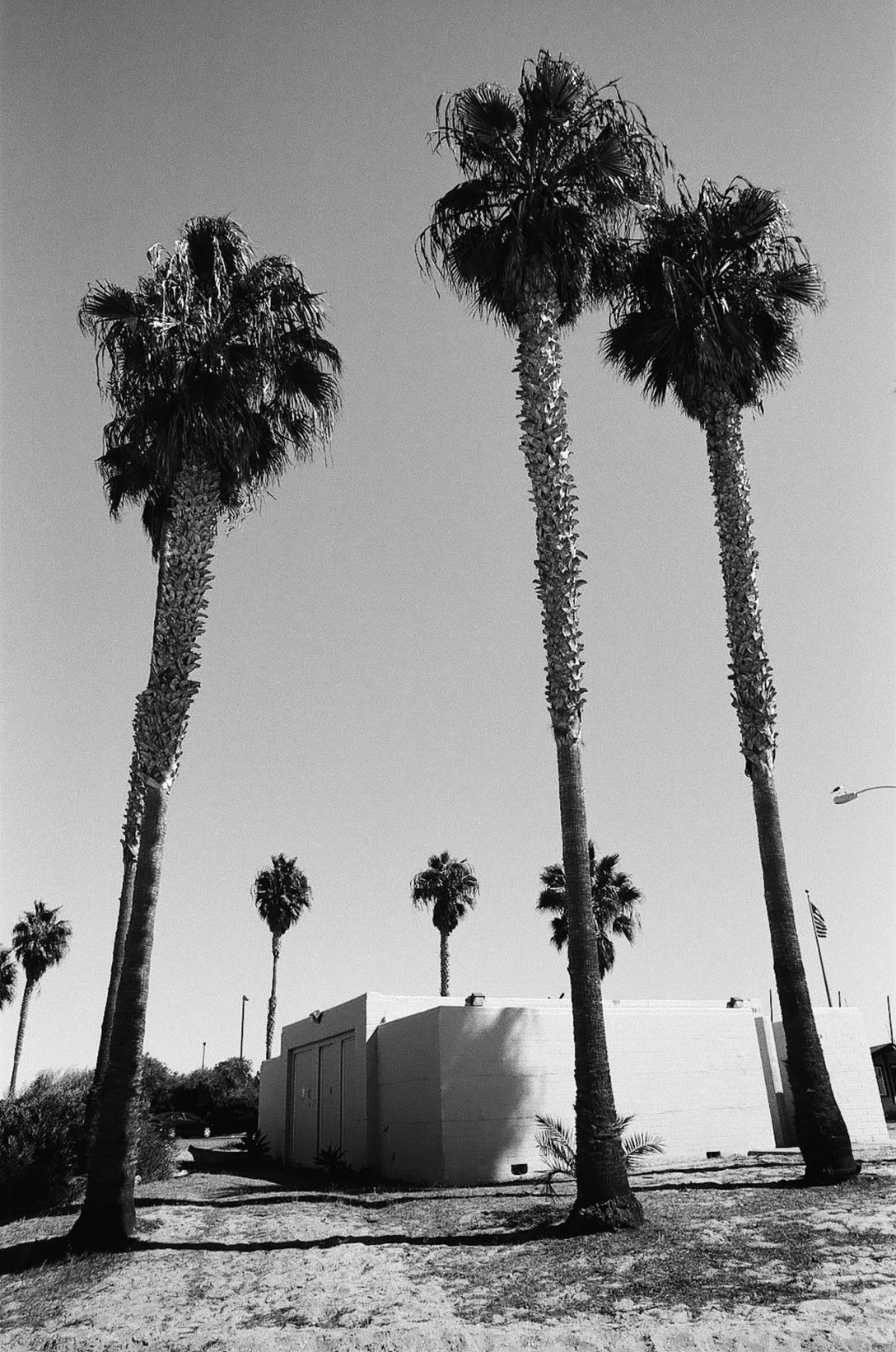 35mm film photography Kodak Tri-X black and white Mission Bay Beach Brutalist Architecture Nikon F2