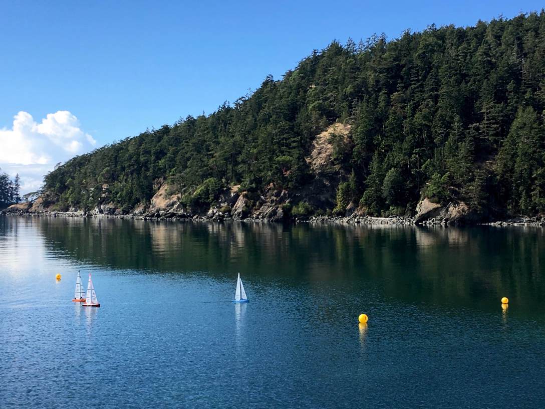 Radio-Controlled dinghy regatta in Bowman Bay, Deception Pass State Park Washington