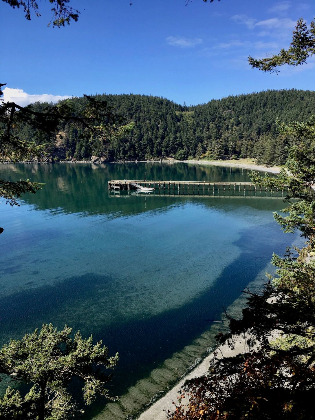 Overlooking the pier in Bowman Bay, Deception Pass State Park, Washington