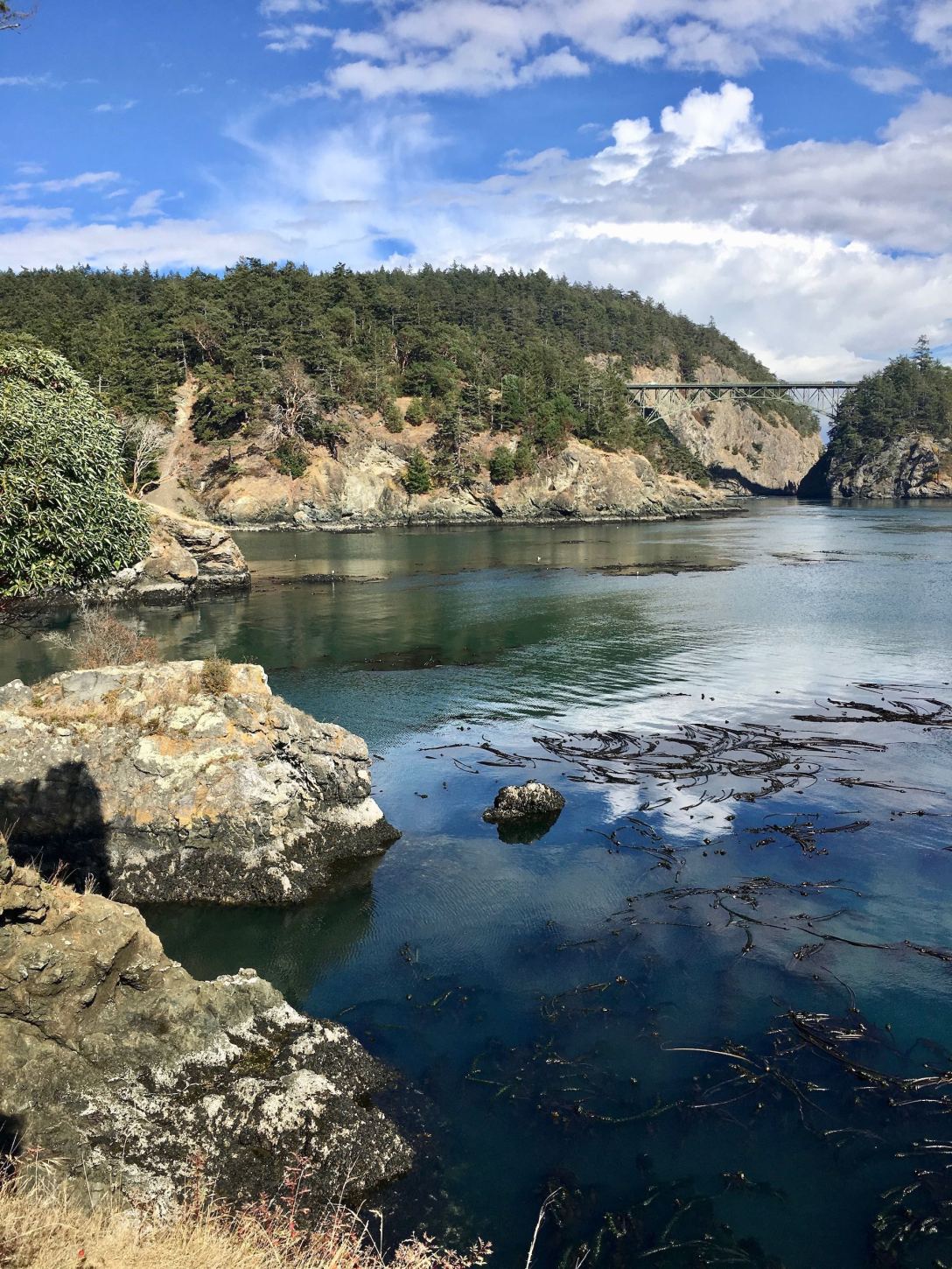 Lottie Bay at Deception Pass