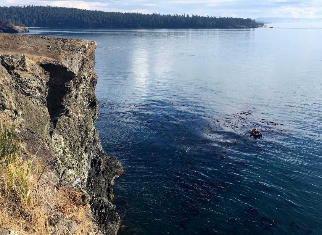 Couple Harvesting Kelp near Rosario Head, Deception Pass State Park Washington