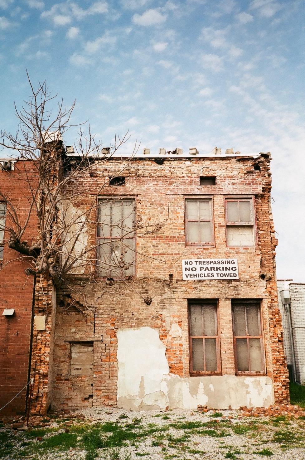 35mm photography photograph A tree grows out of an abandoned building in McMinnille, Tennessee