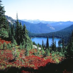 Medium Format Film Photography: Sneak Peak at Mount Rainier’s Naches Peak Loop Trail