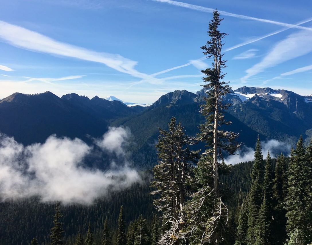 Looking South from Sunrise Point in Mount Rainier National Park