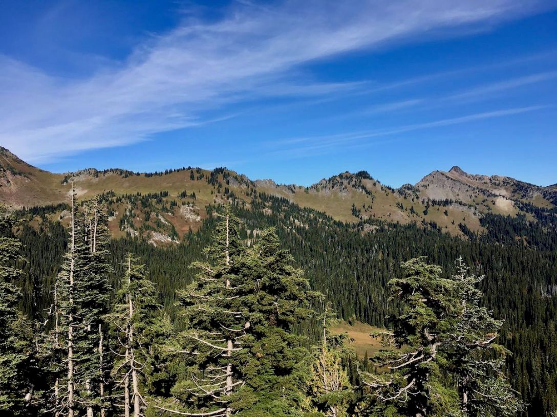 Looking northeast from Sunrise Point in Mount Rainier National Park