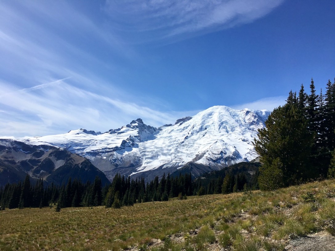 Mount Rainier seen from meadows in Yakima Park - Mount Rainier National Park - Sunrise area